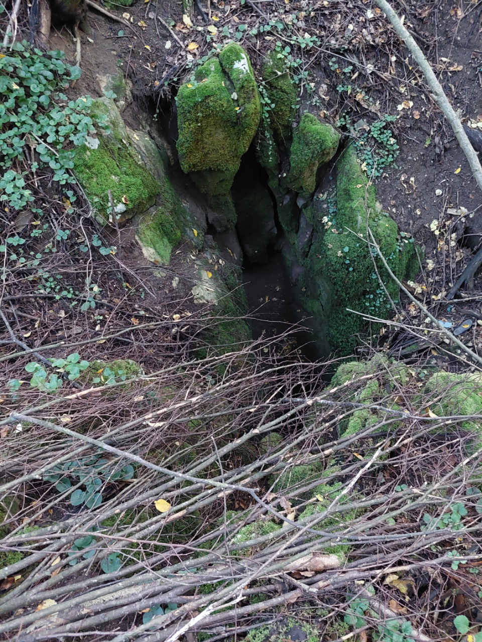 Avenul cu Peşteră - Image 1